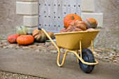 CHATEAU DU RIVAU  LOIRE VALLEY  FRANCE: A YELLOW WHEELBARROW FILLED WITH PUMPKINS BESIDE THE ROYAL STABLES