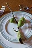 RICKYARD BARN  OXFORDSHIRE: CHRISTMAS - LIVING ROOM - DINING TABLE DECORATED WITH FIGS AND FIG LEAVES CUT FROM THE GARDEN USED AS A NAPKIN HOLDER