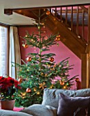 RICKYARD BARN  OXFORDSHIRE: CHRISTMAS - LIVING ROOM - CHRISTMAS TREE