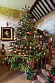 FULBROOK HOUSE: GALLERIED MAIN HALL WITH STONE WALLS  WOODEN STAIRCASE DECORATED TO MATCH CHRISTMAS TREE.
