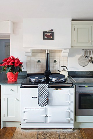 FULBROOK_HOUSE_KITCHEN_BEAMED_CEILING__NATURAL_WOOD_FLOORS__AGA_AND_SEASONAL_RED_POINSETTIA