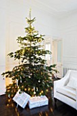 WHITE HOUSE: SITTING ROOM; WHITE DÉCOR AND FURNISHINGS WITH DARK WOOD FLOORS  CHRISTMAS TREE AND PRSENTS