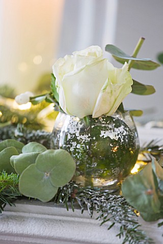 WHITE_HOUSE_BREAKFAST_ROOM_MANTELPIECE_WITH_PINE__EUCALYPTUS_AND_WHITE_ROSE_CHRISTMAS