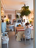 SARAH BAKERS HOUSE  THE OLD VICARAGE  SOMERSET:DINING ROOM - VINTAGE CHAIRS  LAMOS  MIRRORS AND ACCESSORIES WITH MISTLETOE CLAD CENTRAL CEILING CANDELEBRA DECKED OUT FOR CHRISTMAS.