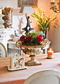 SARAH BAKERS HOUSE  THE OLD VICARAGE: DINING ROOM  WITH DECORATIVE VINTAGE ITEMS INCLUDING CYCLAMEN FILLED VINTAGE PLANTER  CHEESE COVER   DECORATIVE METAL WALL AND TABLELAMPS.