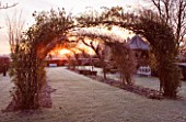 THE MANOR HOUSE  STEVINGTON  BEDFORDSHIRE. DESIGNER: KATHY BROWN - THE WISTERIA WALK PERGOLA AT DAWN IN WINTER