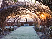 THE MANOR HOUSE  STEVINGTON  BEDFORDSHIRE. DESIGNER: KATHY BROWN - THE WISTERIA WALK PERGOLA AT DAWN IN WINTER - VIEW ALONG TO SEAT