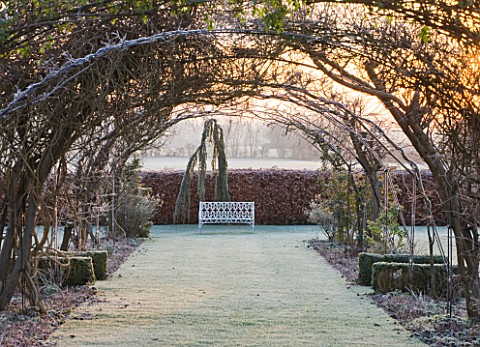 THE_MANOR_HOUSE__STEVINGTON__BEDFORDSHIRE_DESIGNER_KATHY_BROWN__THE_WISTERIA_WALK_PERGOLA_AT_DAWN_IN