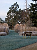 THE MANOR HOUSE  STEVINGTON  BEDFORDSHIRE. DESIGNER: KATHY BROWN - VIEW OF THE MONET BORDERS IN WINTER WITH WOODEN SEAT ON LAWN