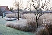 THE MANOR HOUSE  STEVINGTON  BEDFORDSHIRE. DESIGNER: KATHY BROWN - THE MONET BORDERS AT DAWN WITH FROST