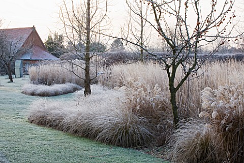THE_MANOR_HOUSE__STEVINGTON__BEDFORDSHIRE_DESIGNER_KATHY_BROWN__THE_MONET_BORDERS_AT_DAWN_WITH_FROST