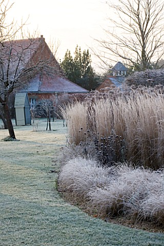 THE_MANOR_HOUSE__STEVINGTON__BEDFORDSHIRE_DESIGNER_KATHY_BROWN__THE_MONET_BORDERS_AT_DAWN_WITH_FROST