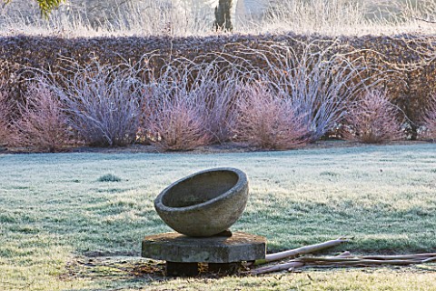 THE_MANOR_HOUSE__STEVINGTON__BEDFORDSHIRE_DESIGNER_KATHY_BROWN__STONE_VESSEL_IN_FROST_WITH_RUBUS_COC