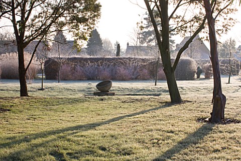 THE_MANOR_HOUSE__STEVINGTON__BEDFORDSHIRE_DESIGNER_KATHY_BROWN__THE_EUCALYPTUS_WALK_IN_FROST_IN_WINT