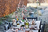 THE MANOR HOUSE  STEVINGTON  BEDFORDSHIRE. DESIGNER: KATHY BROWN - TABLE SET WITH BOTTLES FILLED WITH STEMS OF CHINESE LANTERNS IN FROST IN WINTER