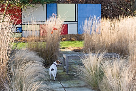 THE_MANOR_HOUSE__STEVINGTON__BEDFORDSHIRE_DESIGNER_KATHY_BROWN_MONDRIAN_GRASS_BORDER_AND_WALL_WITH_P