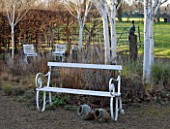THE MANOR HOUSE  STEVINGTON  BEDFORDSHIRE. DESIGNER: KATHY BROWN: WHITE BENCH AND CHAIRS WITH WHITE STEMMED BETULA UTILIS JACQUEMONTII . WINTER