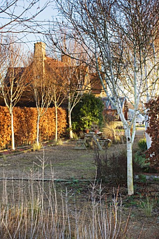 THE_MANOR_HOUSE__STEVINGTON__BEDFORDSHIRE_DESIGNER_KATHY_BROWN_VIEW_TOWARDS_THE_MANOR_HOUSE_IN_WINTE