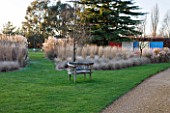 THE MANOR HOUSE  STEVINGTON  BEDFORDSHIRE. DESIGNER: KATHY BROWN: WOODEN BENCH ON LAWN BESIDE GRAVEL DRIVE WITH MONDRIAN BORDER AND WALL BEHIND. WINTER