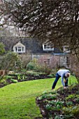 DR RONALD MACKENZIE  OXFORDSHIRE: DR MACKENZIES AT WORK IN HIS OXFORDSHIRE HOME AND GARDEN IN JANUARY