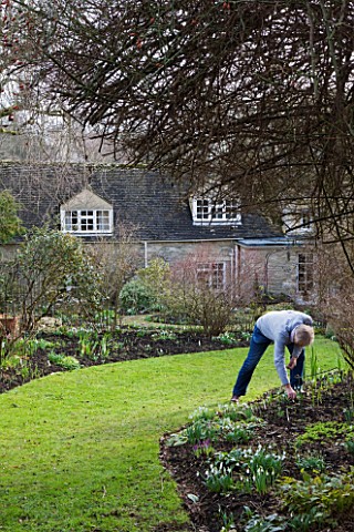 DR_RONALD_MACKENZIE__OXFORDSHIRE_DR_MACKENZIES_AT_WORK_IN_HIS_OXFORDSHIRE_HOME_AND_GARDEN_IN_JANUARY