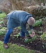 DR RONALD MACKENZIE  OXFORDSHIRE: DR RONALD MACKENZIE IN HIS GARDEN IN JANUARY