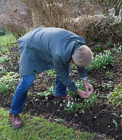 DR_RONALD_MACKENZIE__OXFORDSHIRE_DR_RONALD_MACKENZIE_IN_HIS_GARDEN_IN_JANUARY