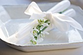 DOUBLE SNOWDROPS WITH WHITE CANDLES ON A WHITE DISH - GALANTHUS : STYLING BY JACKY HOBBS