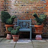 IVY TOPIARY BIRDS IN CONTAINERS WITH WOODEN SEAT. CHENIES MANOR   BUCKS