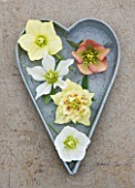 HARVEYS GARDEN PLANTS  SUFFOLK: ZINC HEART WITH SELECTION OF HELLEBORE FLOWERS