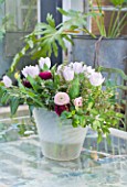 PETERSHAM NURSERIES  RICHMOND  SURREY: CONTAINER WITH FLOWERS OF RANUNCULUS AND TULIPS
