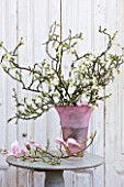 PETERSHAM NURSERIES  RICHMOND  SURREY: PINK CONTAINER WITH SPRING BLOSSOM AND MAGNOLIA BRANCH