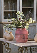 PETERSHAM NURSERIES  RICHMOND  SURREY: PINK CONTAINER WITH SPRING BLOSSOM ON TABLE