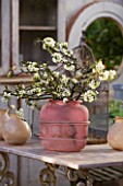PETERSHAM NURSERIES  RICHMOND  SURREY: PINK CONTAINER WITH SPRING BLOSSOM ON TABLE
