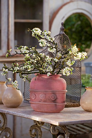 PETERSHAM_NURSERIES__RICHMOND__SURREY_PINK_CONTAINER_WITH_SPRING_BLOSSOM_ON_TABLE