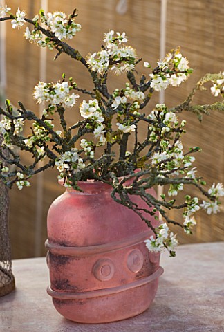 PETERSHAM_NURSERIES__RICHMOND__SURREY_PINK_CONTAINER_WITH_SPRING_BLOSSOM_ON_TABLE