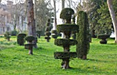 RAGLEY HALL  WARWICKSHIRE: TOPIARY YEW SHAPES IN THE PARKLAND