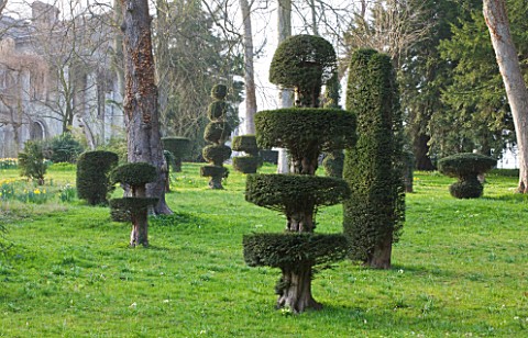 RAGLEY_HALL__WARWICKSHIRE_TOPIARY_YEW_SHAPES_IN_THE_PARKLAND