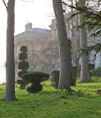 RAGLEY_HALL__WARWICKSHIRE_TOPIARY_YEW_SHAPES_IN_THE_PARKLAND