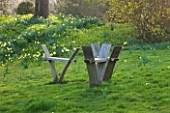 RAGLEY HALL  WARWICKSHIRE: DAFFODILS AND WOODEN SEATS IN THE PARKLAND