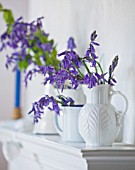 FISHING COTTAGE  KNEBWORTH PARK: STYLING BY JACKY HOBBS: BLUEBELLS IN WHITE JUGS AND CONTAINERS ON MANTELPIECE - SPRING