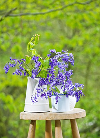 FISHING_COTTAGE__KNEBWORTH_PARK_STYLING_BY_JACKY_HOBBS_BLUEBELLS_IN_WHITE_JUGS_AND_CONTAINERS_ON_A_S