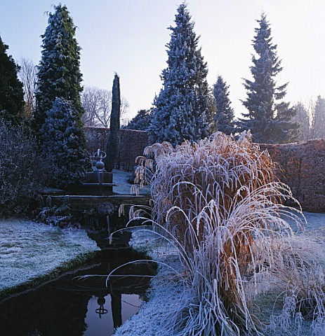 THE_WATER_GARDEN_AT_BROOK_COTTAGE__OXFORDSHIRE_IN_BG_IS_THE_SUNDIAL_AND_IN_FG_IS_MISCANTHUS_ZEBRINUS