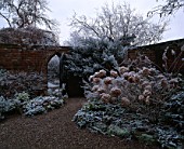 GATE IN WALL. FROST COVERED HYDRANGEA AND CEANOTHUS. WOLLERTON OLD HALL  SHROPSHIRE.