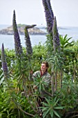 HERM ISLAND  CHANNEL ISLANDS - ASSISTANT ISLAND GARDENER ROSIE WHEELER CUTS DOWN A FLOWER SPIKE OF ECHIUM PINNIANA