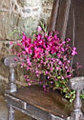 HERM ISLAND  CHANNEL ISLANDS - BOUQUET OF FLOWERS IN PINK - GLADIOLUS COMMUNIS BYZANTINUS AND RED CAMPION ON A BENCH IN ST TUGALS CHAPEL