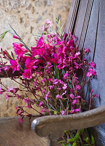 HERM_ISLAND__CHANNEL_ISLANDS__BOUQUET_OF_FLOWERS_IN_PINK__GLADIOLUS_COMMUNIS_BYZANTINUS_AND_RED_CAMP