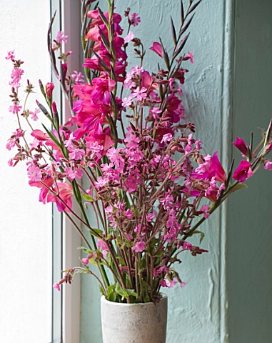 HERM_ISLAND__CHANNEL_ISLANDS_BOUQUET_OF_PINK_FLOWERS_IN_WINDOW__RED_CAMPION_AND_GLADIOLUS_COMMUNIS_B