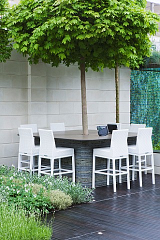 CHELSEA_2012__ROOFTOP_OFFICE_GARDEN_BY_PAT_FOX_OF_ARALIA_GARDEN_DESIGN_TABLE_WITH_TREE_AND_CHAIIRS