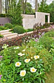 CHELSEA 2012 - ANDY STURGEON GARDEN FOR M & G INVESTMENTS - PEONY CLAIRE DE LUNE IN FOREGROUND WITH LIMESTONE WALL BEHIND